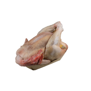 Pollo intero eviscerato – 2,2Kg